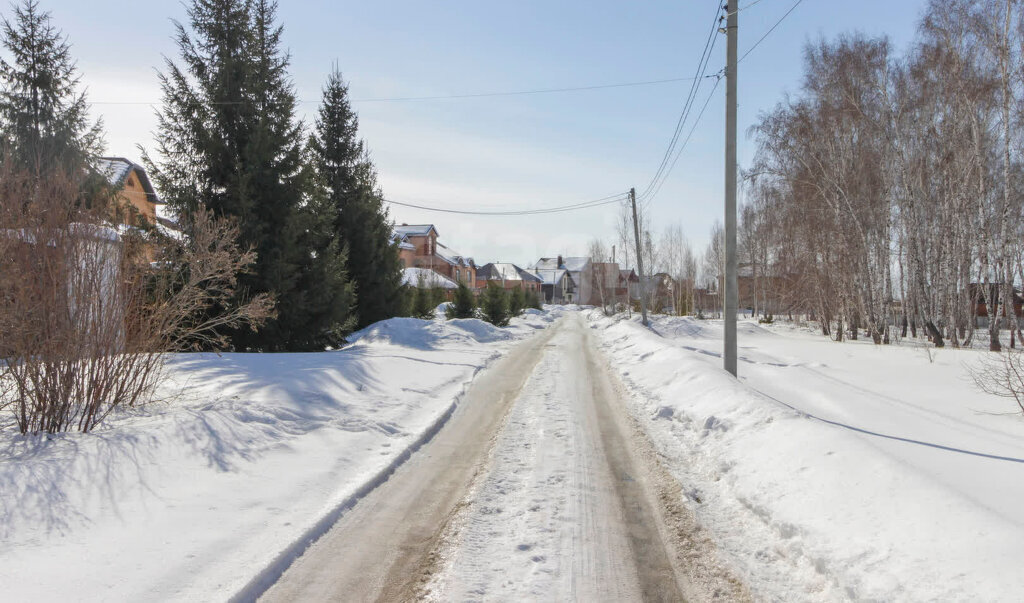 земля г Омск ул Тихая фото 3