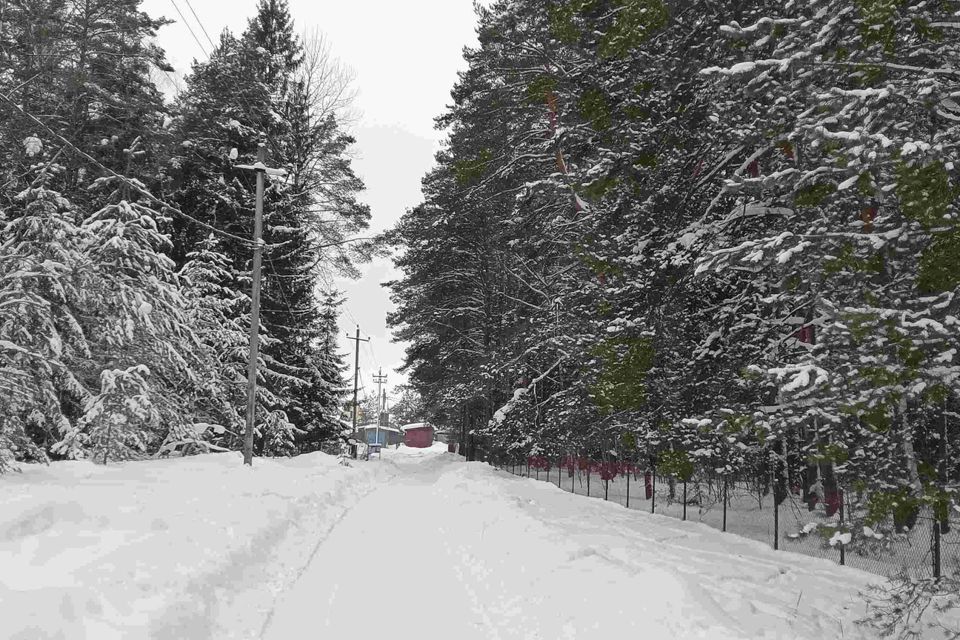 земля городской округ Егорьевск садовое товарищество Мещера-2, 76 фото 8