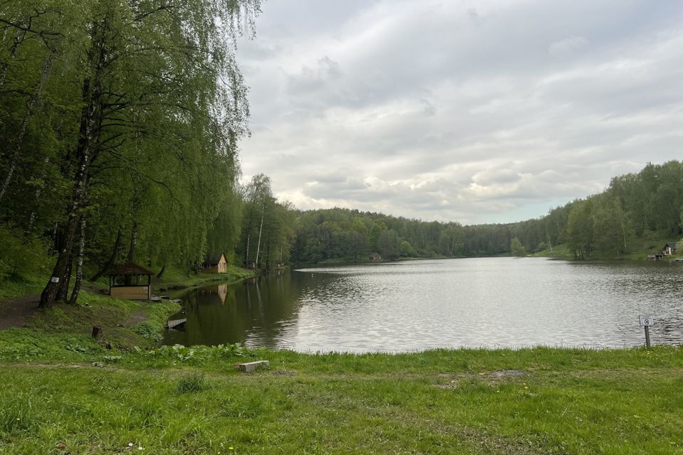 земля городской округ Ленинский д Мисайлово тер. ОНТ Мосмек Первая очередь, 14 фото 5