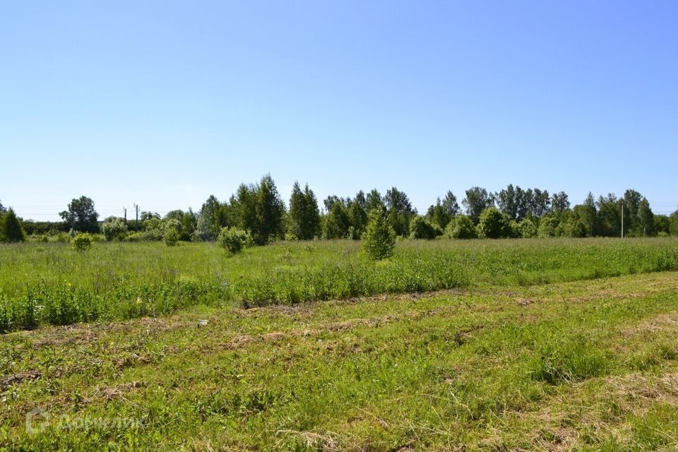 земля городской округ Ступино село Васильевское фото 5