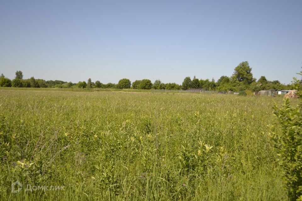 земля городской округ Ступино село Васильевское фото 6