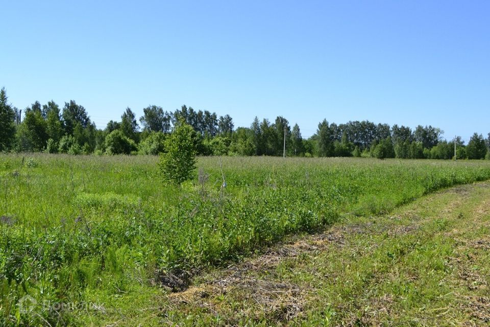 земля городской округ Ступино село Васильевское фото 7