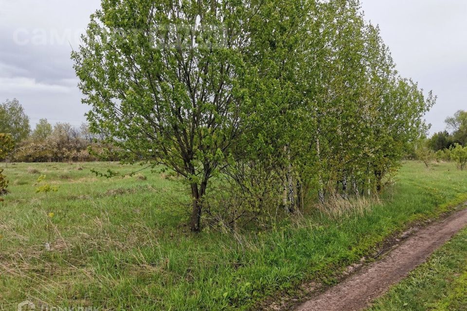 земля городской округ Серебряные Пруды д. Толстые фото 8