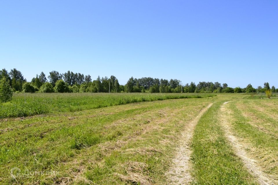 земля городской округ Ступино село Васильевское фото 8