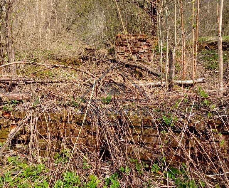 земля городской округ Дмитровский фото 8