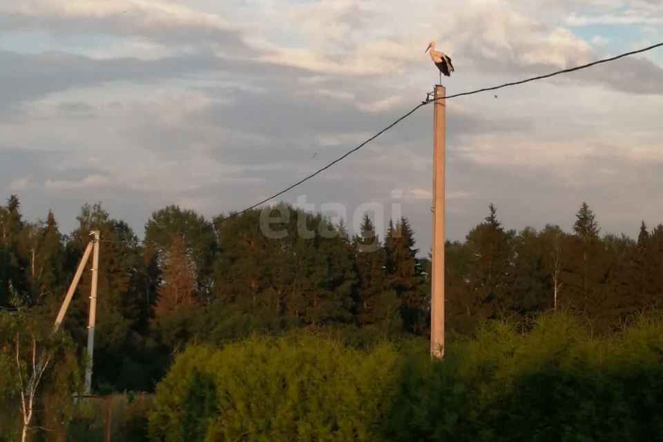 дом городской округ Можайский Алексеевка фото 7