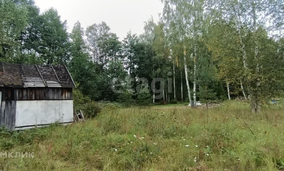 земля городской округ Орехово-Зуевский п Тополиный снт тер.Сажени 73 фото 5