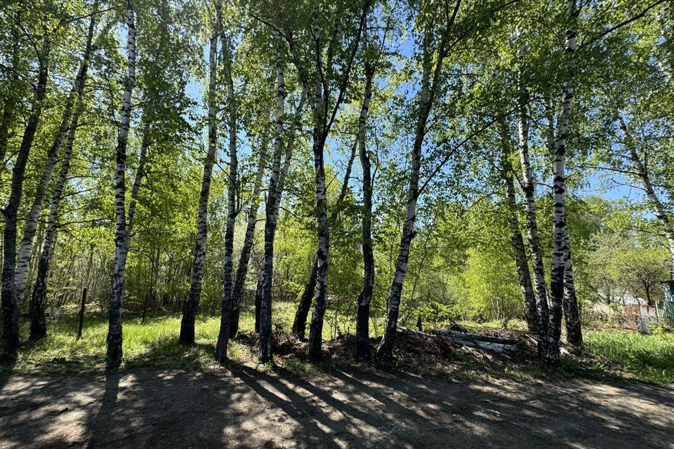 земля городской округ Ленинский СНТ Мамоновский Овраг фото 8