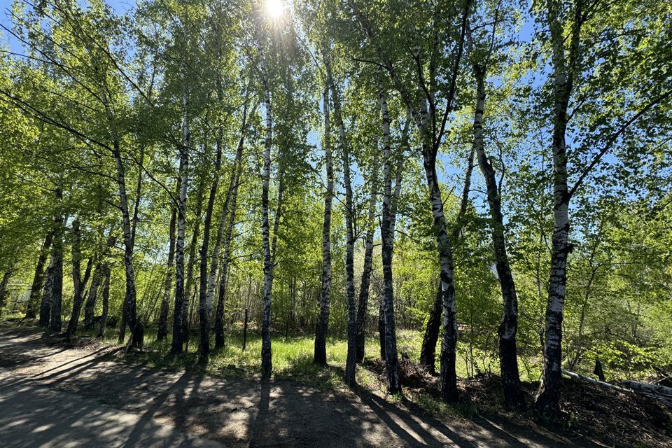 земля городской округ Ленинский СНТ Мамоновский Овраг фото 10