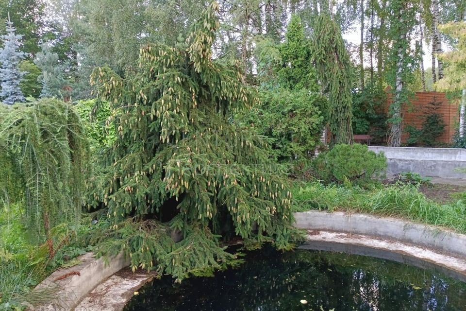 земля городской округ Раменский СНТ Полушкино-2 фото 8