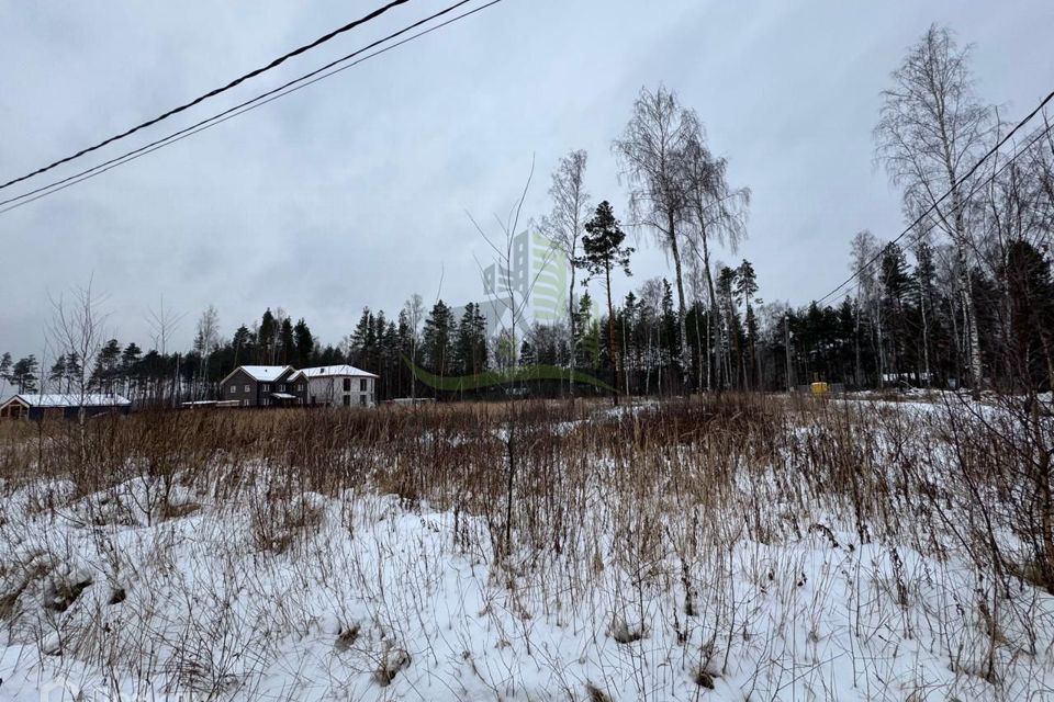 земля городской округ Раменский д. Фенино фото 6