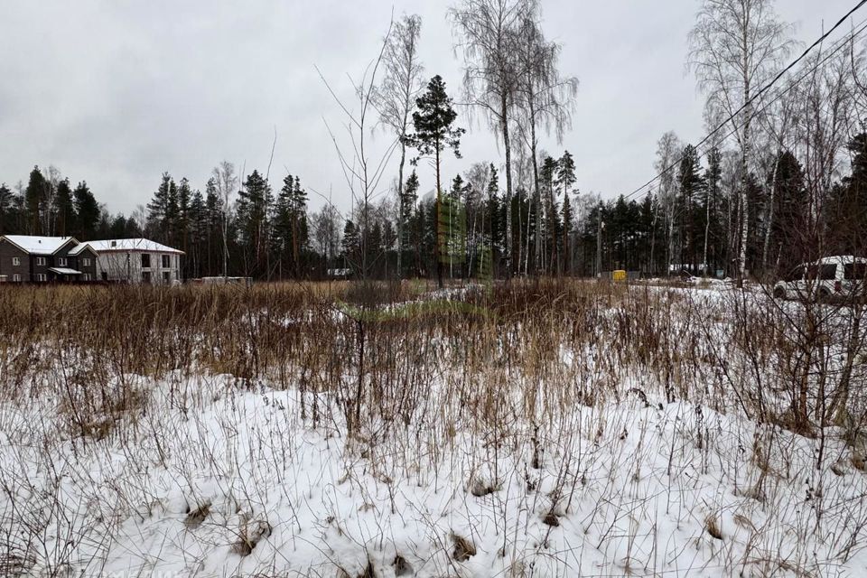 земля городской округ Раменский д. Фенино фото 9