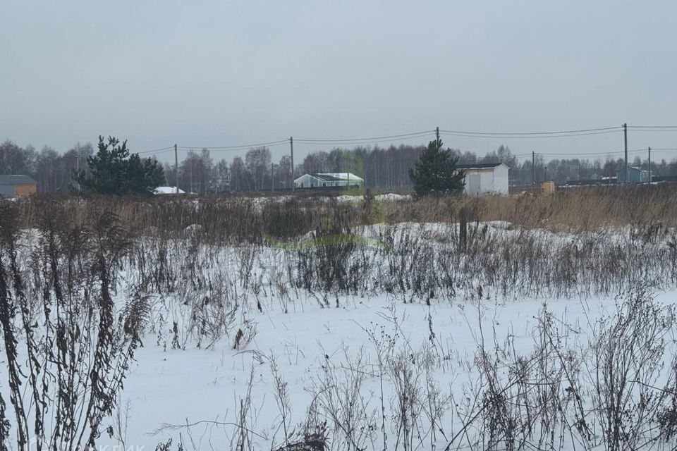 земля городской округ Раменский д. Бахтеево фото 9