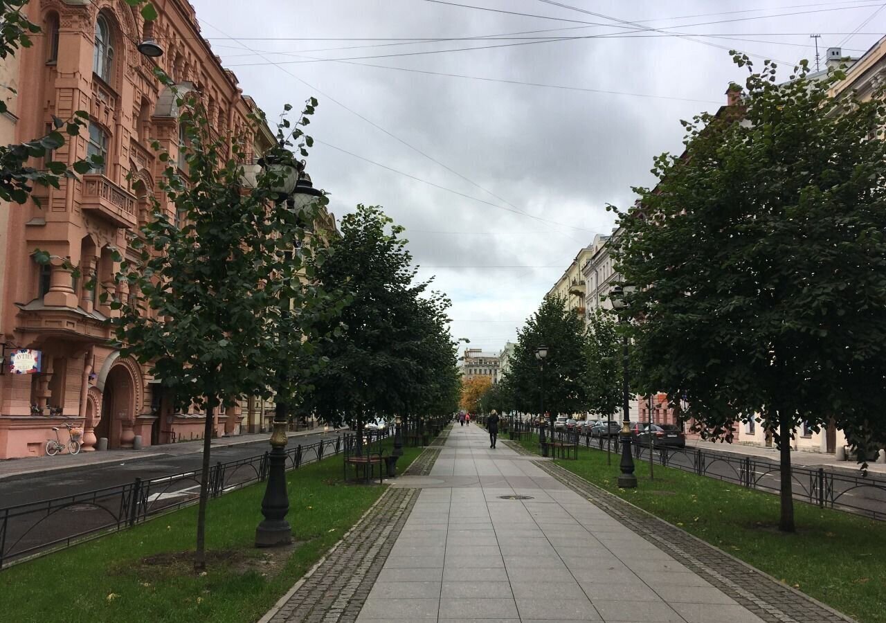 квартира г Санкт-Петербург метро Чернышевская ул Фурштатская 11 округ Литейный фото 20