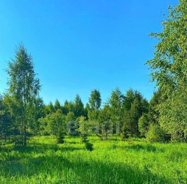 земля р-н Малоярославецкий снт Юбилейный с пос, 164, Земляничная поляна дп фото 3