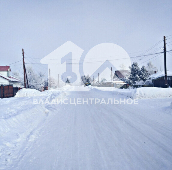 земля р-н Новосибирский Морской сельсовет, садовые участки Шуманка, Лазурная улица фото 1