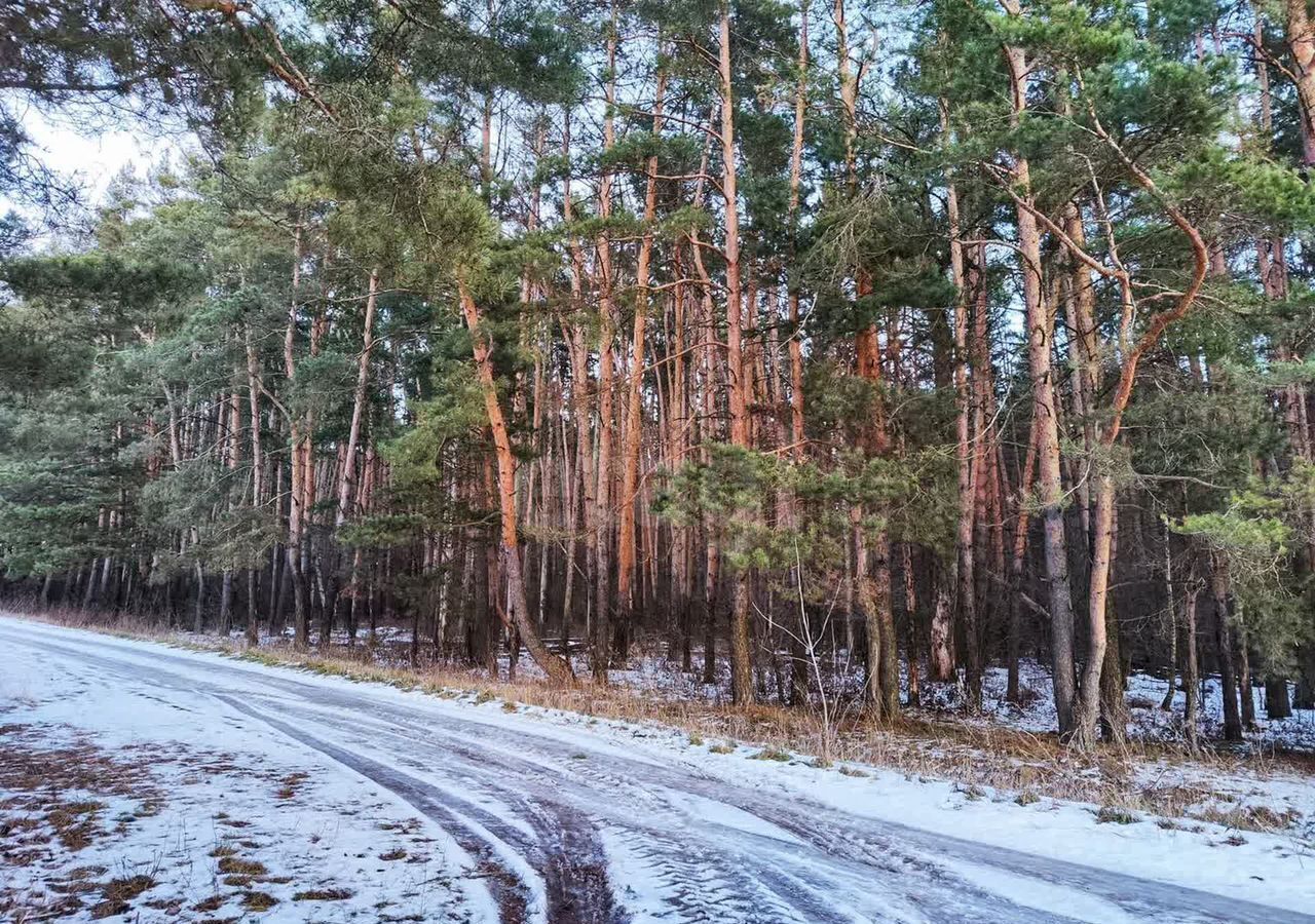 дом городской округ Озерский с Сосновка ул Пионерская 7 99 км, Озёры, г. о. Коломна, Каширское шоссе фото 35