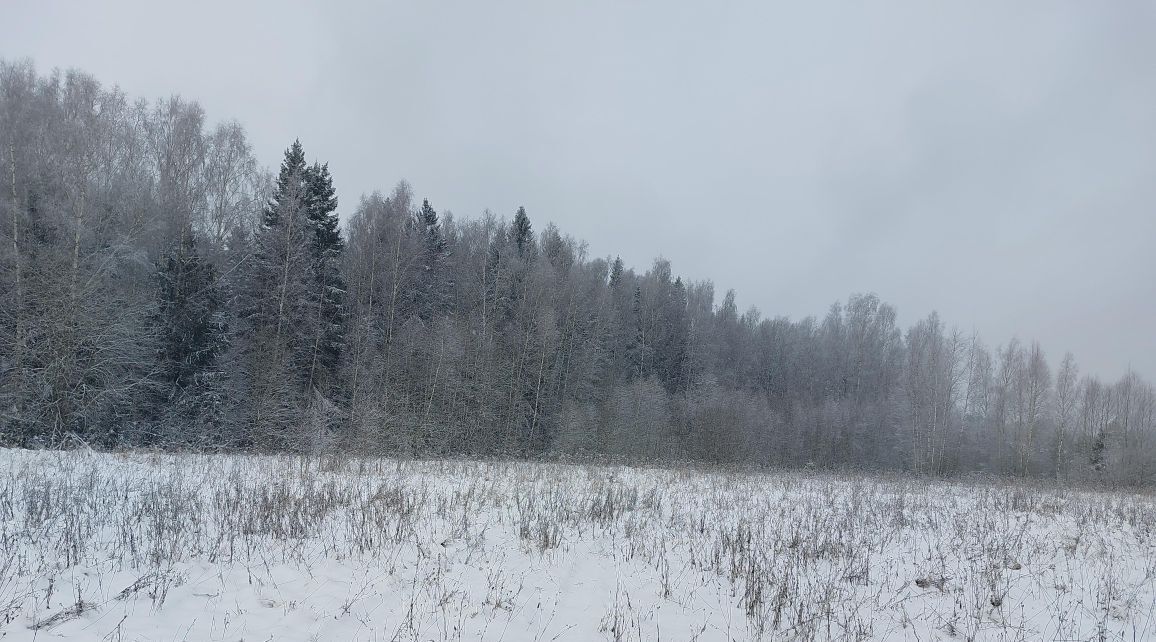 офис городской округ Наро-Фоминский п Новая Ольховка фото 2