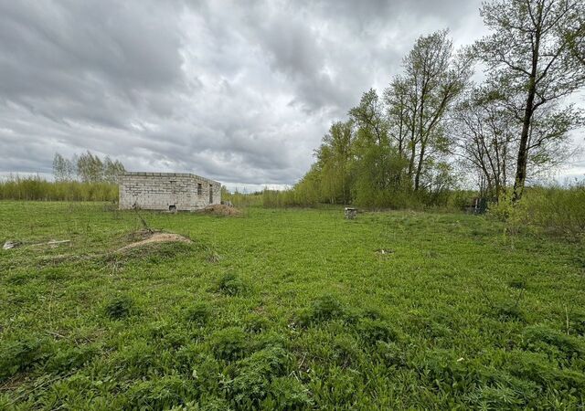 земля р-н Заднепровский Славутич, садовое некоммерческое товарищество фото