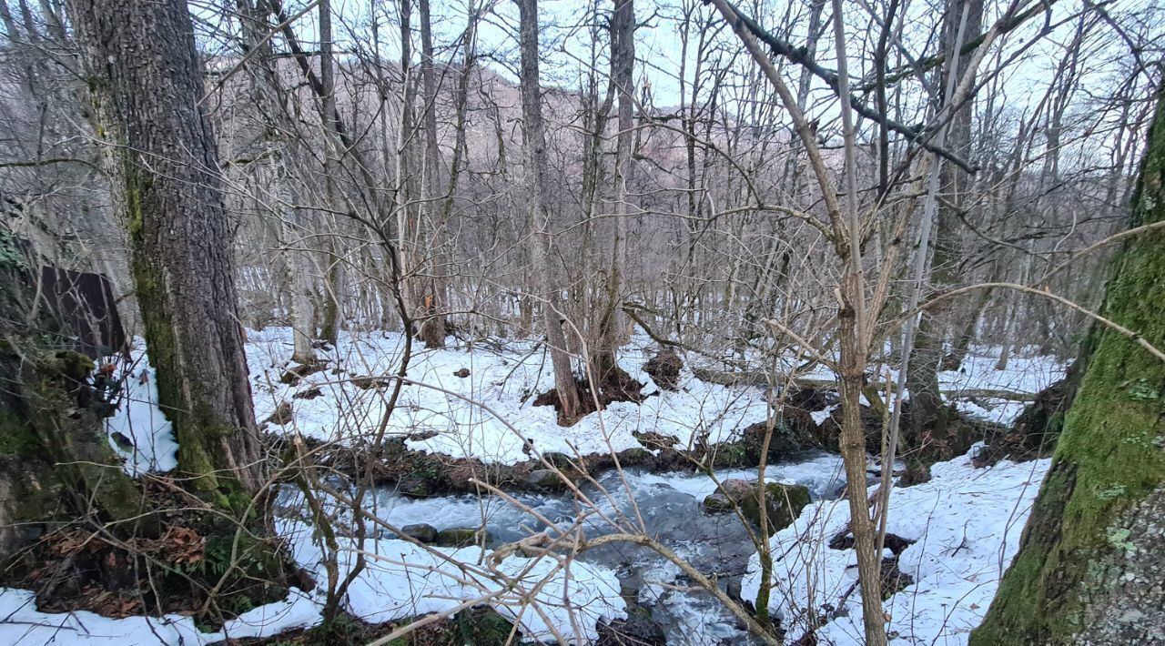 земля г Сочи с Казачий Брод р-н Адлерский внутригородской пгт Красная Поляна ул Береговая Красная Поляна фото 7