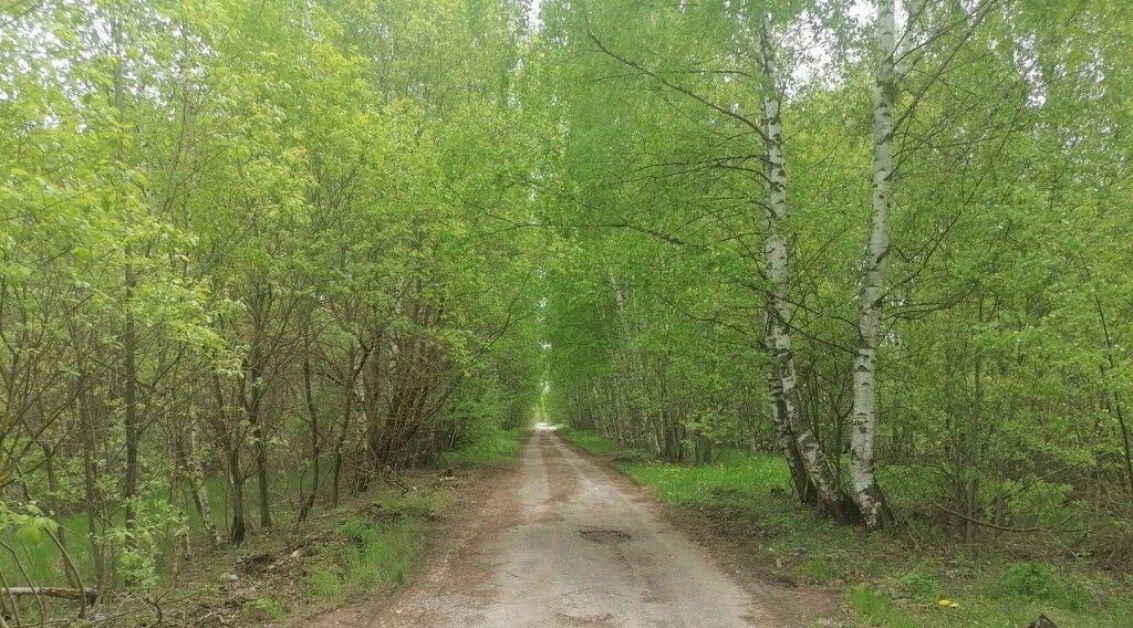 земля р-н Камешковский п Мирный ул Центральная Второвское муниципальное образование фото 5