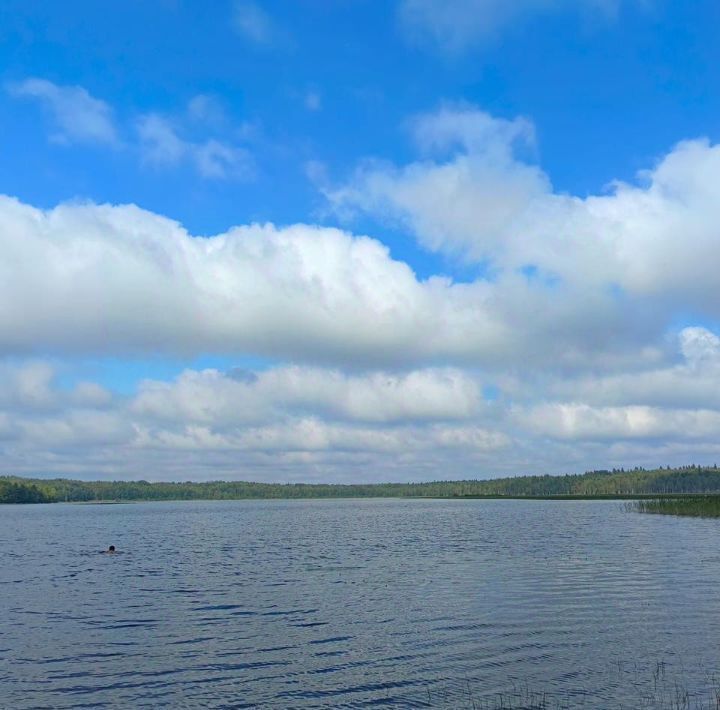 дом р-н Всеволожский Токсовское городское поселение, Токсово городской поселок, Девяткино фото 18