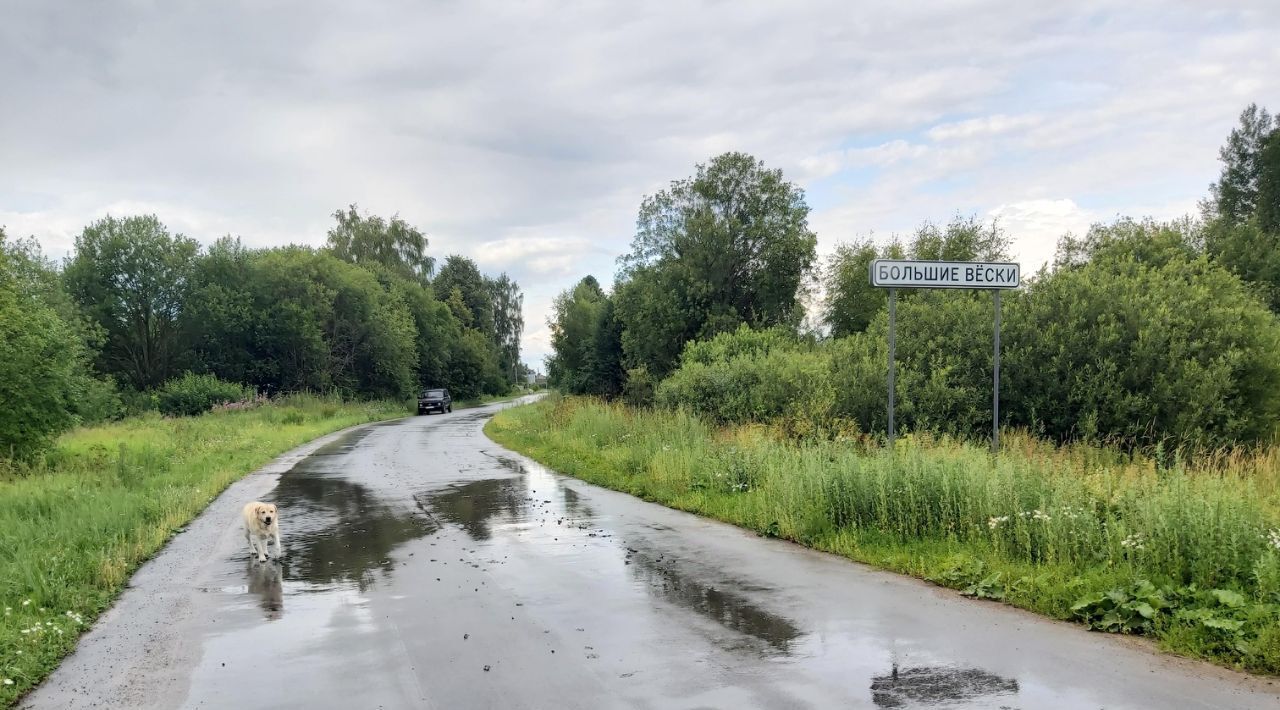 земля р-н Александровский д Большие Вески муниципальное образование, Андреевское фото 22