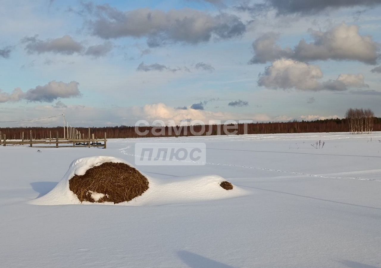 земля р-н Переславский с Лыченцы ул Центральная Переславль-Залесский фото 8