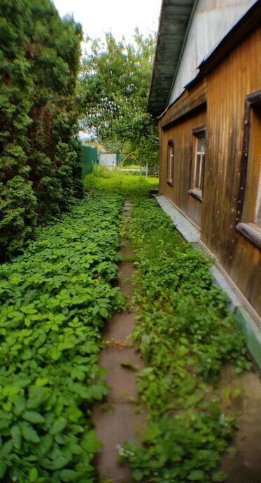 дом р-н Спировский д Большое Нивище фото 4