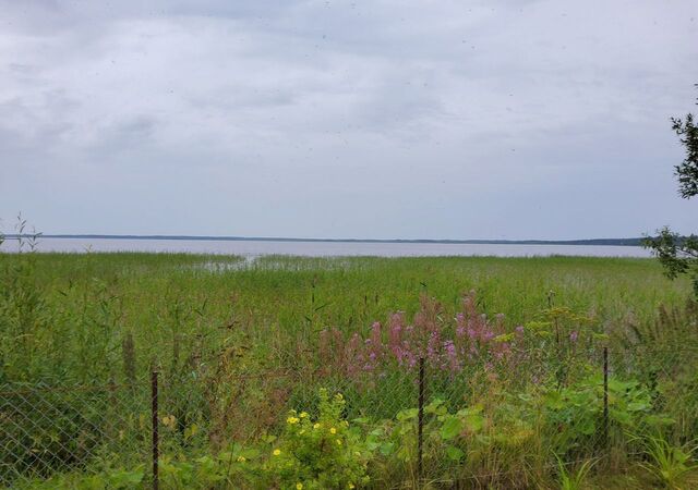 снт тер.Лисьи Борки Северодвинск фото