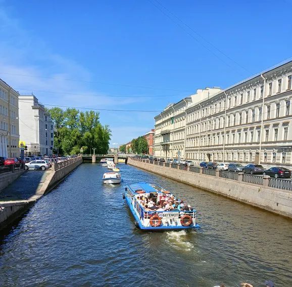 квартира г Санкт-Петербург метро Садовая ул Декабристов 29б округ Коломна фото 22