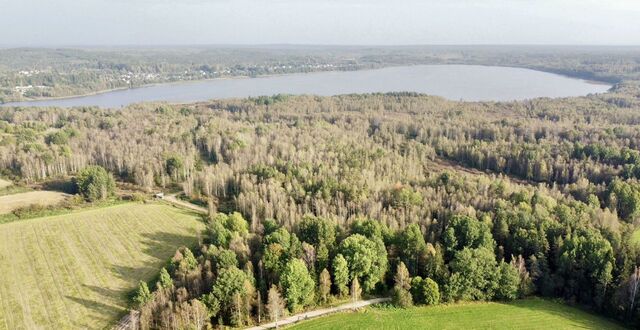 п Каменка Трасса Скандинавия, 43 км, Полянское сельское поселение фото