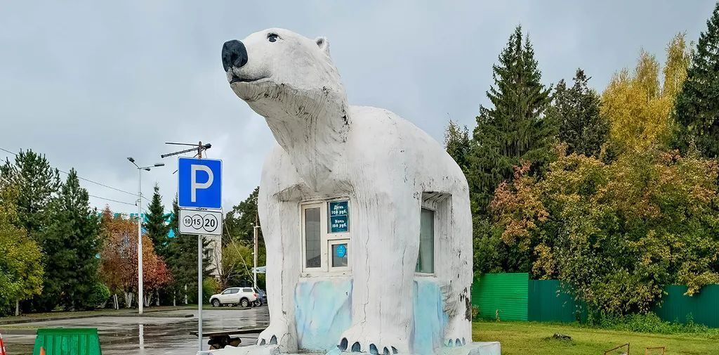 квартира г Новосибирск метро Площадь Гарина-Михайловского ул Челюскинцев 15б фото 35