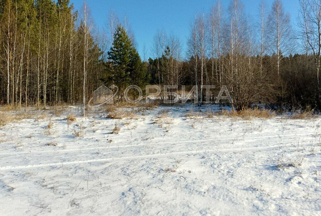 земля р-н Тугулымский с Ошкуково ул Молодежная фото 2