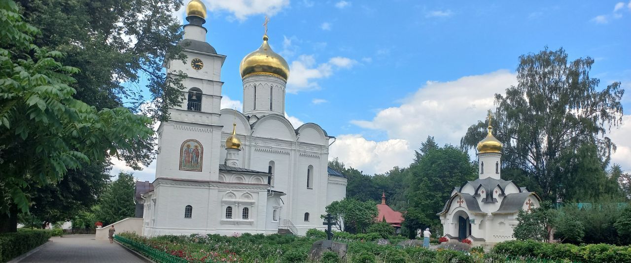 дом городской округ Дмитровский с Внуково ул Новая 25 фото 26