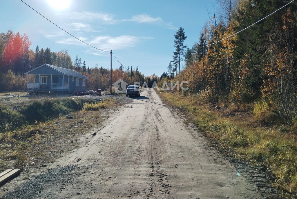 земля р-н Прионежский снт Ветеран-3 ул Рябиновая Нововилговское сельское поселение фото 3