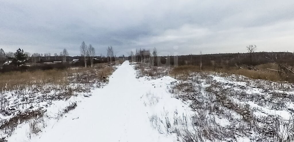 земля г Тюмень тер ДНТ Приозерное Тюневское сельское поселение фото 10