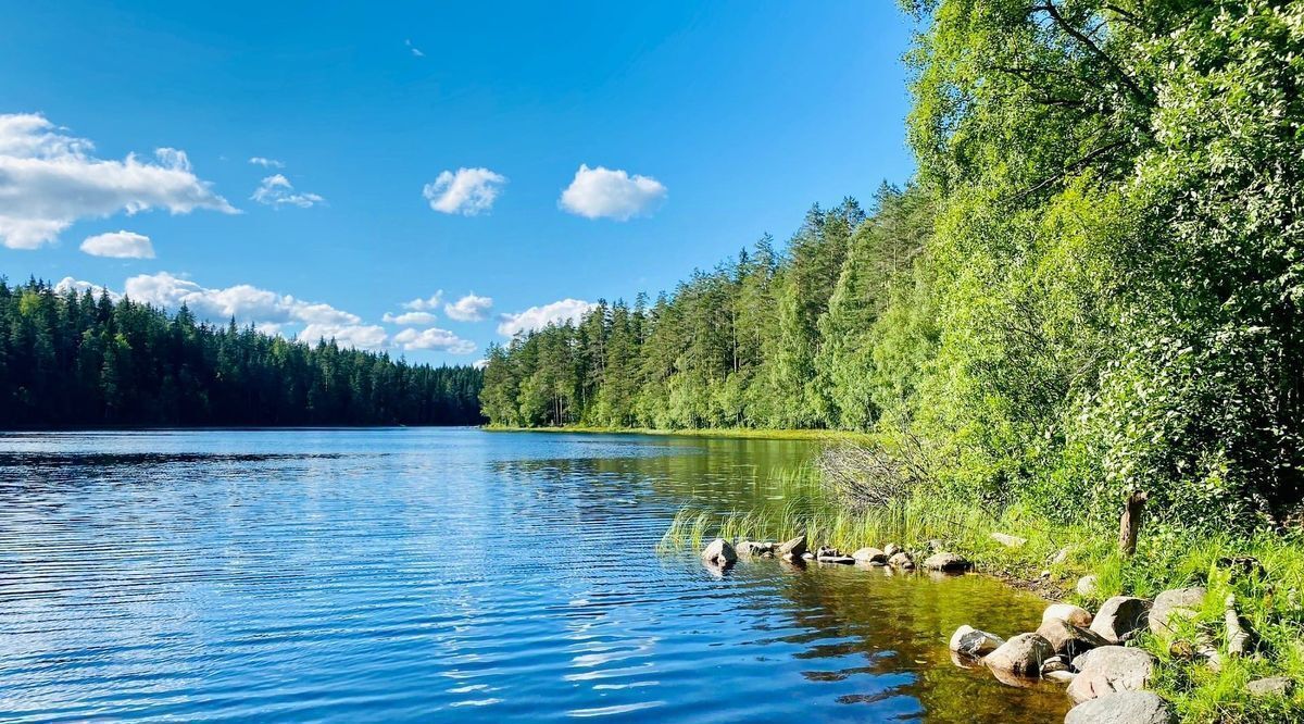 земля р-н Приозерский д Светлое ул Центральная 33б с пос, Красноозерное фото 5