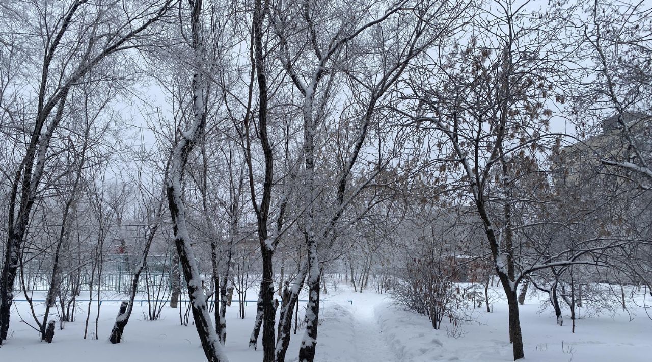 квартира г Омск р-н Центральный ул Кемеровская 2 Центральный АО фото 20