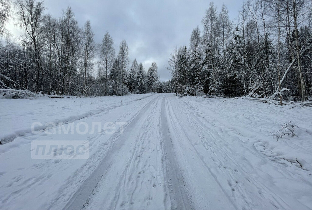 земля городской округ Истра д Ермолино фото 1