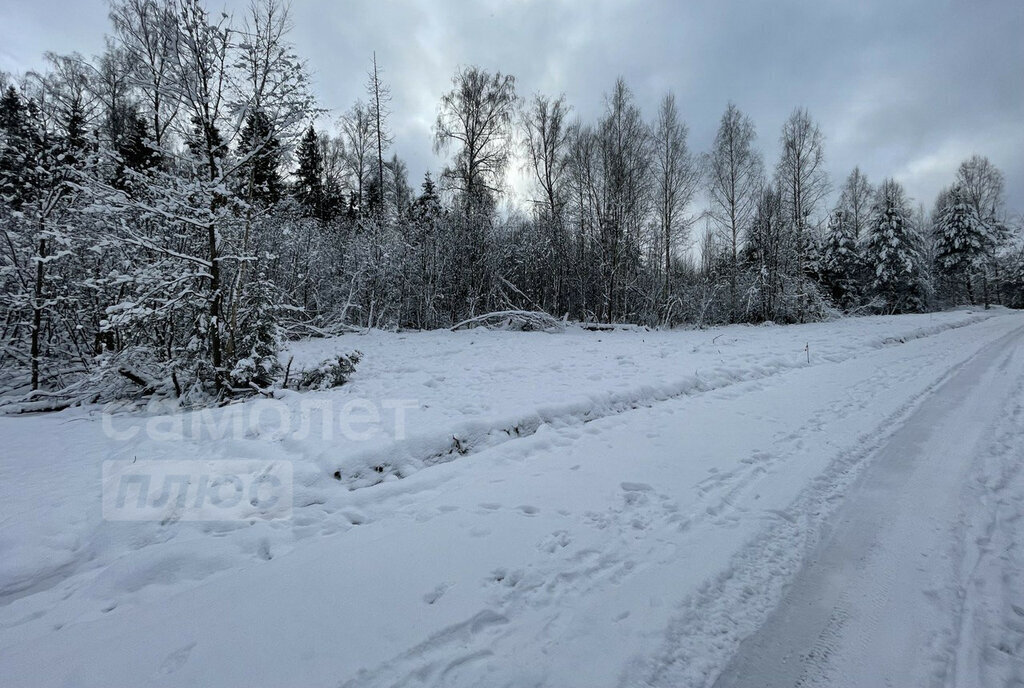 земля городской округ Истра д Ермолино фото 2