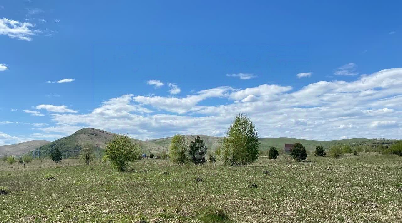 земля р-н Майминский с Подгорное ул Светлая фото 5