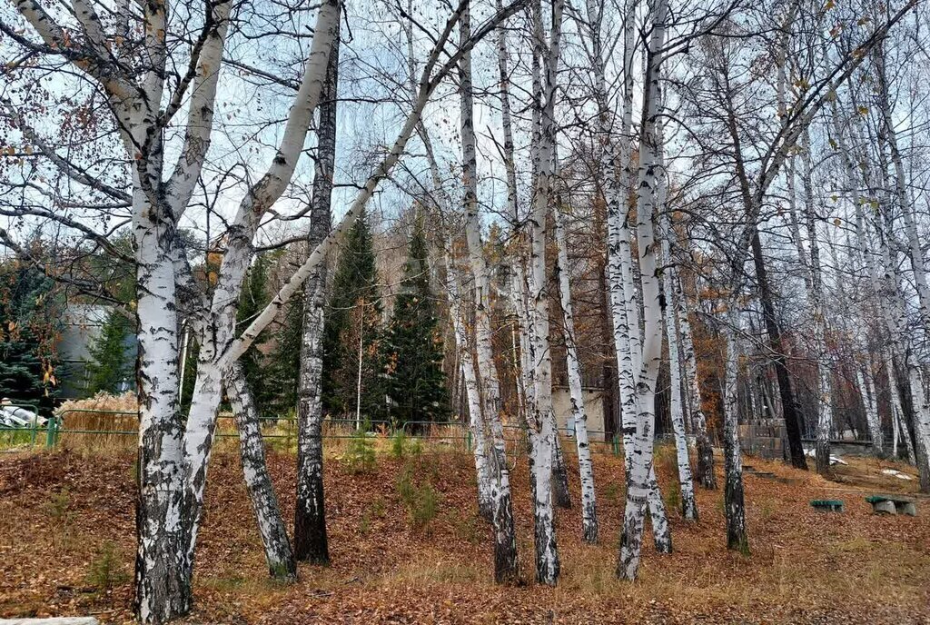 земля р-н Пригородный п Братчиково ул Строителей фото 5