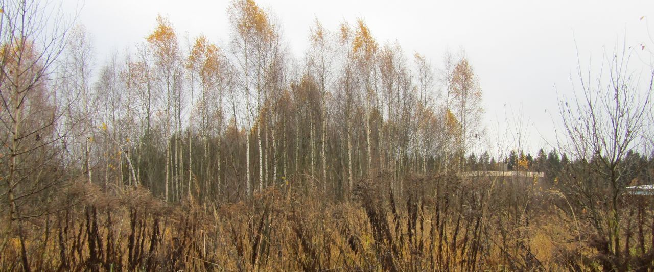 офис городской округ Рузский д Лобково фото 2