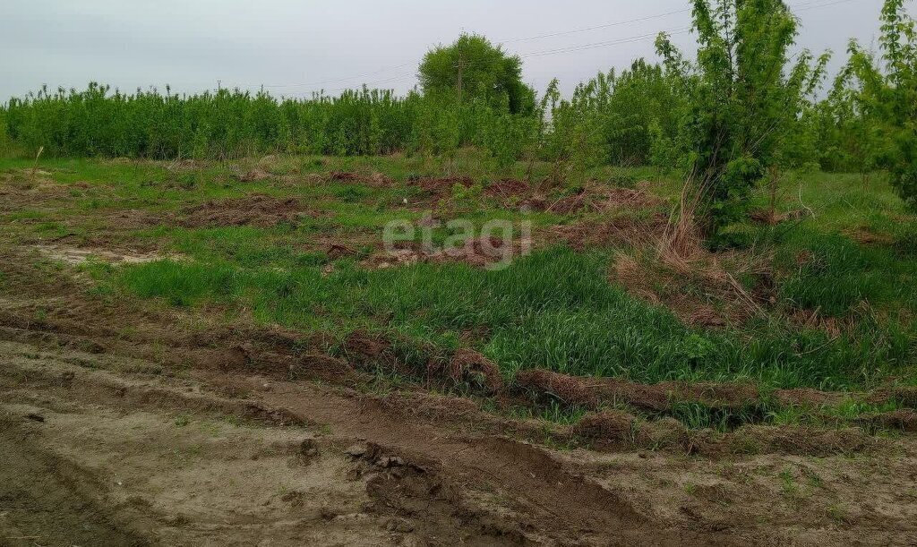 земля г Воронеж р-н Железнодорожный ул Полянка Боровое фото 2