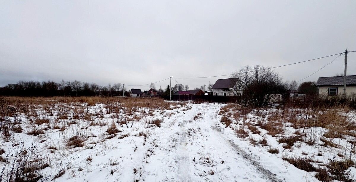 земля городской округ Коломенский д Большое Карасёво 88 км, г. о. Коломна, Первомайский, Новорязанское шоссе фото 2