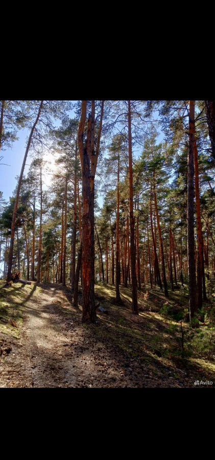 дом городской округ Ступино д Соколова Пустынь ул Соколиная 85 км, Ступино, Каширское шоссе фото 36