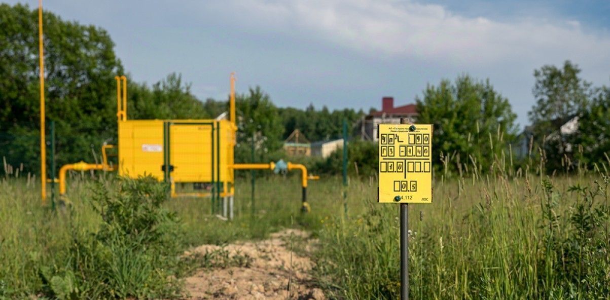 земля р-н Гатчинский д Горки (Веревское с/п) ул Благодатная поселение фото 4