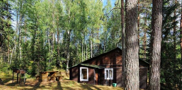 д Большие Крупели Толмачевское городское поселение фото