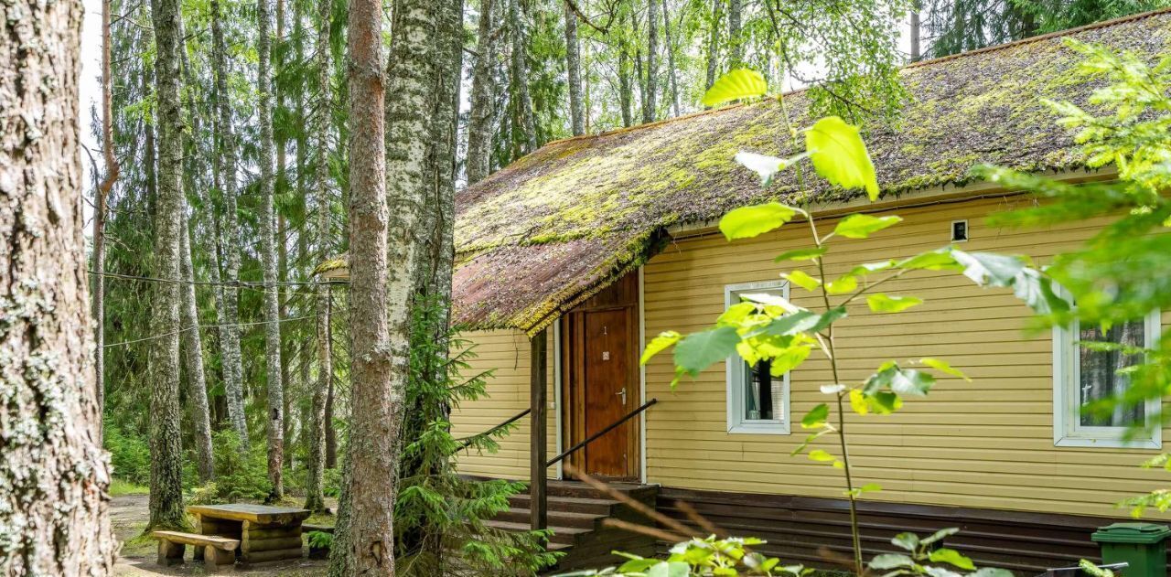 дом р-н Лужский д Большие Крупели Толмачевское городское поселение фото 4